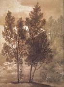 Trees (mk17) Claude Lorrain